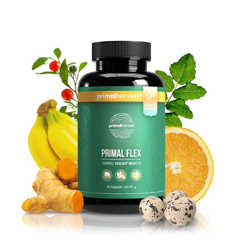 Arti Flex - Primal Flex