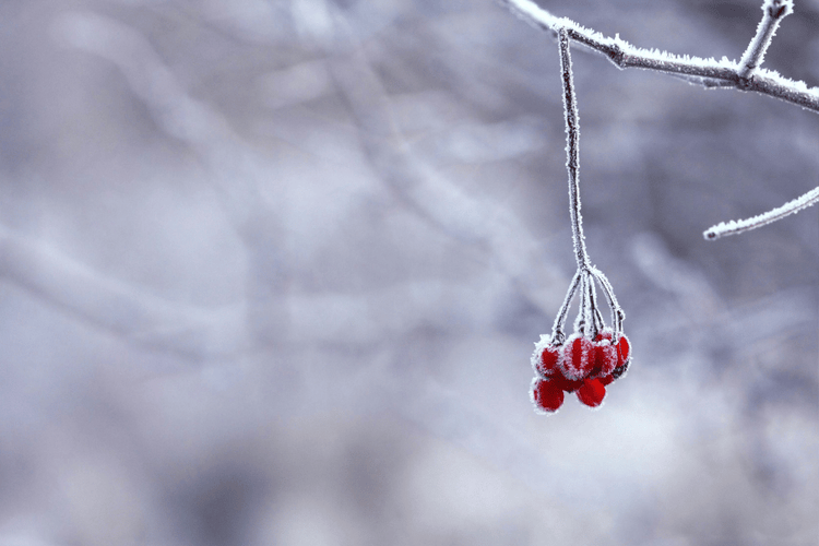 'Tis the season – es ist die Zeit für Wellness und Me-Time