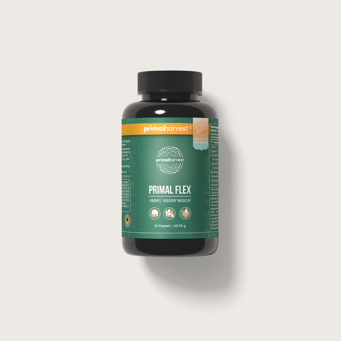 'Arti Flex - Primal Flex'