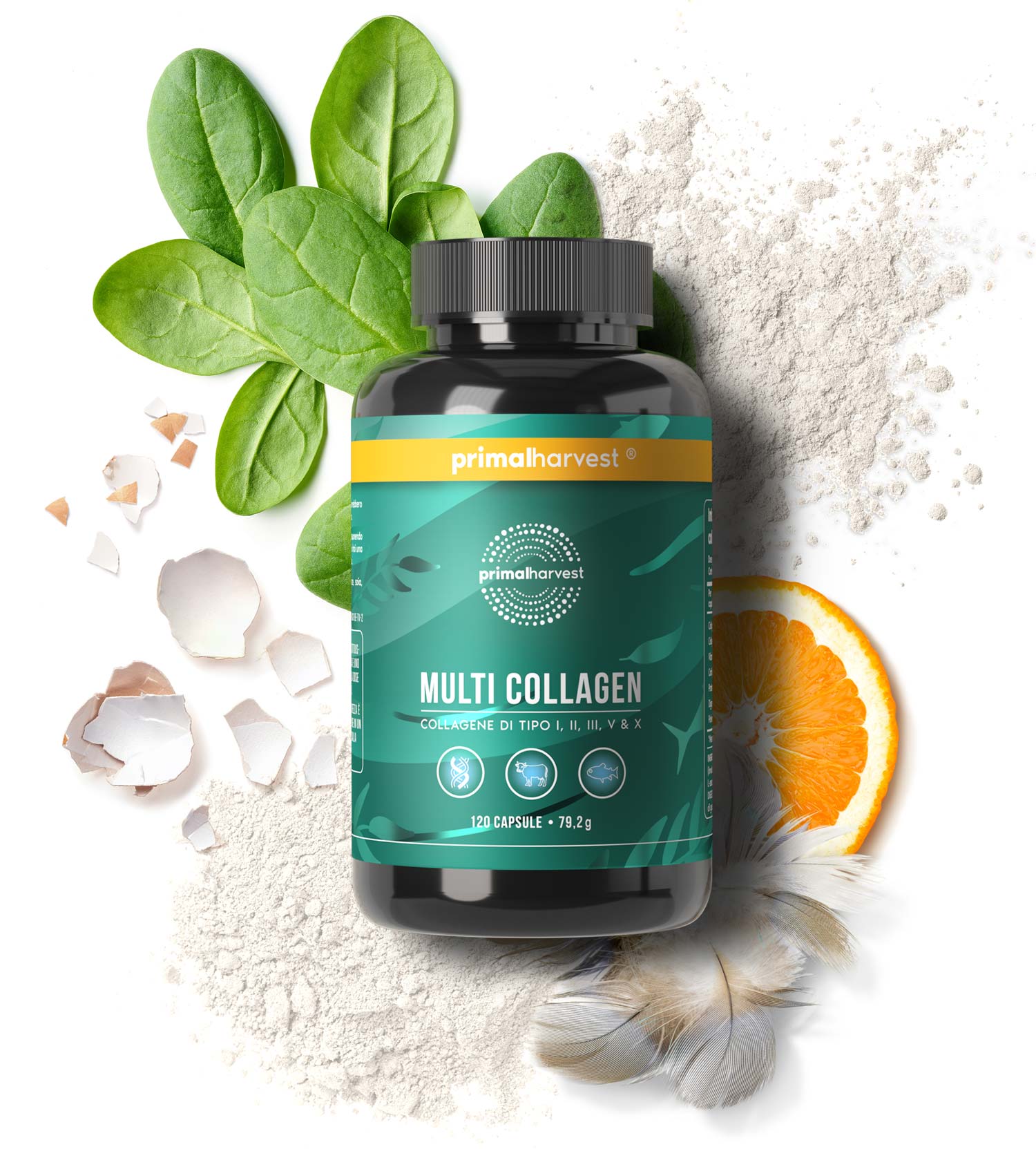 MULTI COLLAGEN