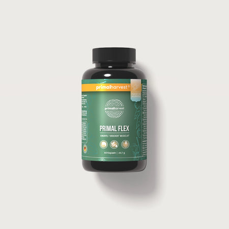 Arti Flex - Primal Flex